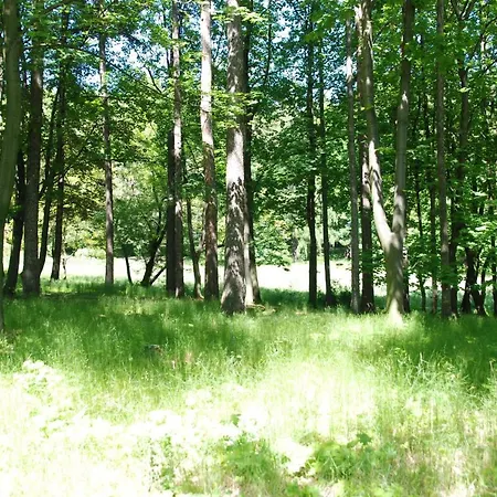 Anna Pensión Szczawno-Zdroj