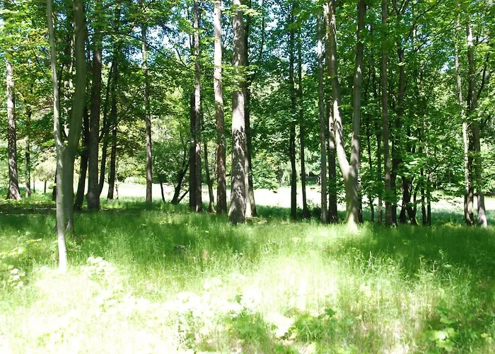 Anna Guest house Szczawno-Zdroj